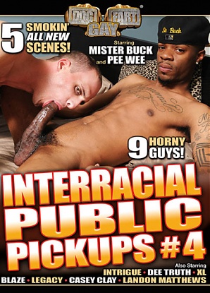 Interracial Public Pickups 4 (2017)