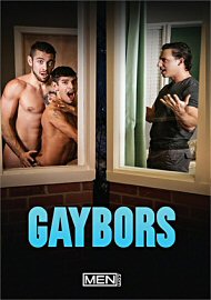 Gaybors (2020) (193667.0)